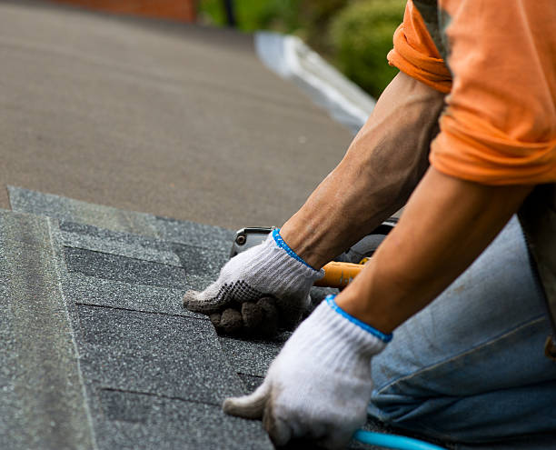 Best Roof Maintenance Services  in Greenwood, MS